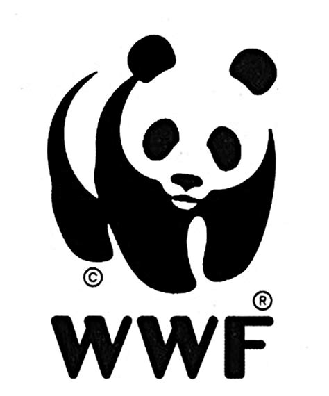 panda charity logo|How the World Wildlife Fund logo was designed.